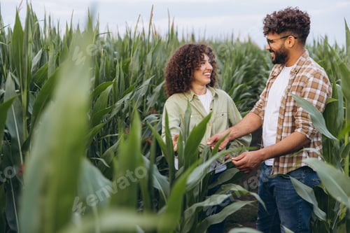 Visualização: Agrônomos trabalhando e inspecionando a plantação de milho
