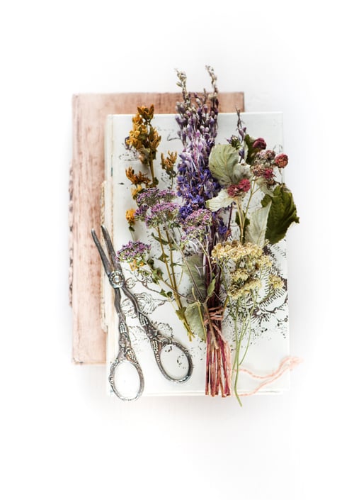 Preview: Herbal medicine concept. Dried healing herbs, scissors and vintage books