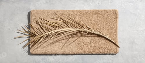 Preview: Dried leaf of palm and towel on concrete background