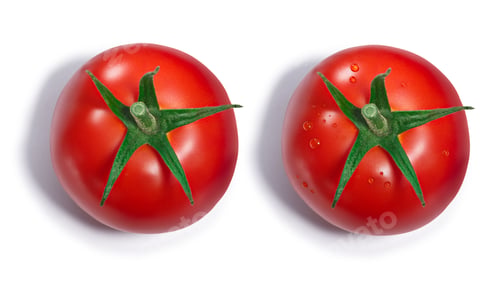 Preview: Tomato with and without dewdrops, top view, paths