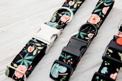 Preview: Dog Collar and Leash set. Pet Supplies and Walking Gear Collection