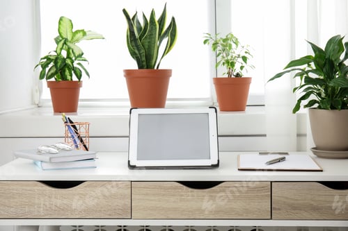 Preview: Tablet on table and houseplants in office interior, space for text