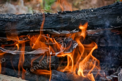 Preview: Chamas de fogo em fogão a lenha de eucalipto para aquecimento.