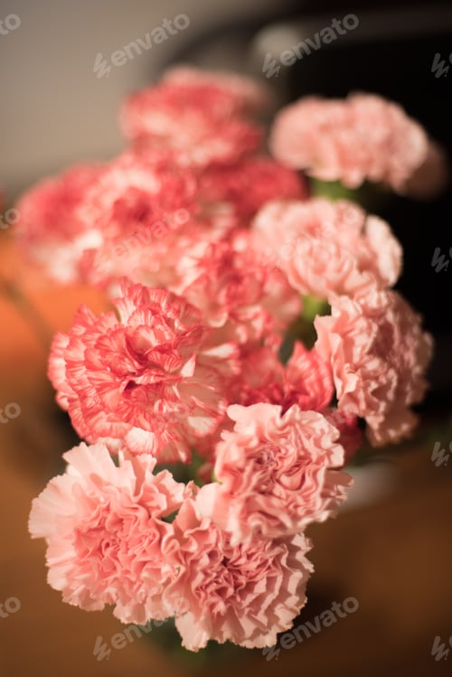Pink and Red Carnation Flower Arrangement Close Up