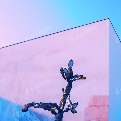 Preview: Cactus in location. My colorful life. Tropical vibes. Modern art