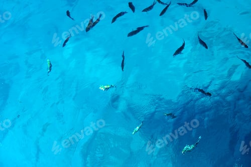 Preview: Background red sea
