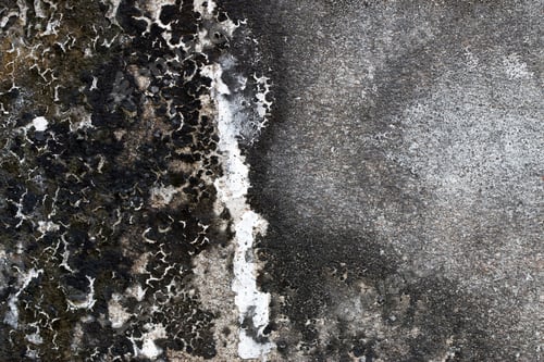 Preview: Light Gray Stucco Wall Texture. Abstract Background