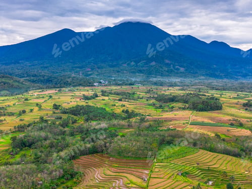 Preview: Aerial photo showing the contrast between natural green forest