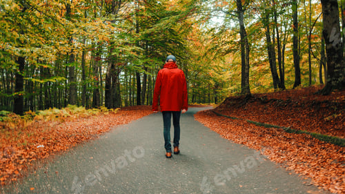 Preview: Old man in red jacket walking on the road into the deep forest in Autumn