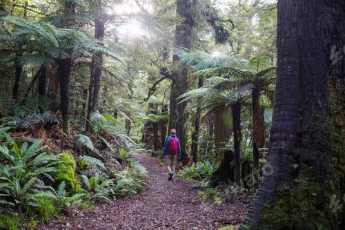 Preview: Tramping