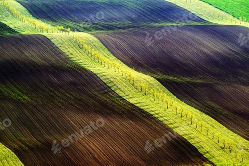 Preview: Green and brown waves of the agricultural fields