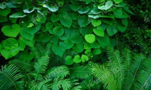 Preview: My garden