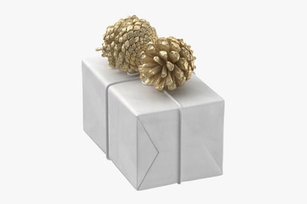 Preview: White Christmas Gift Box with Golden Pinecones
