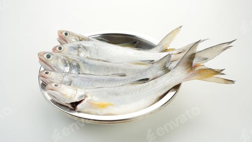 Preview: Yellow Croaker Fish, Ikan Ekor Kuning, served on stainless bowl