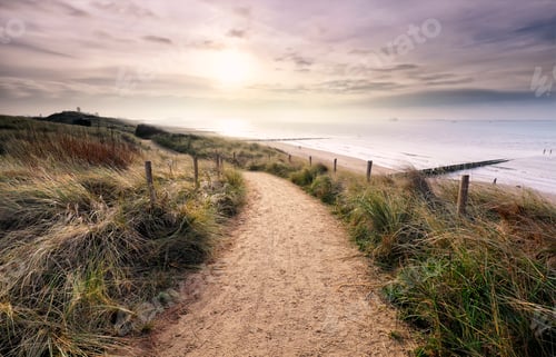 Preview: path on dune with view on North sea beach
