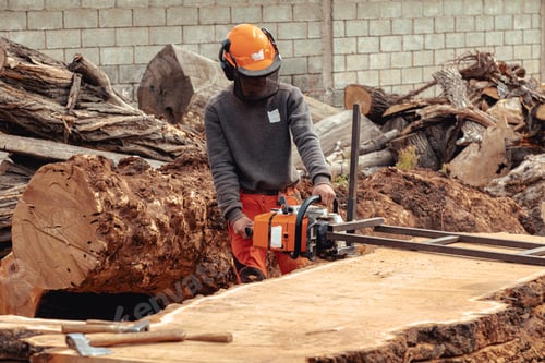 Preview: Lumberjack cutting tree trunk with giant chainsaw to make wooden planks