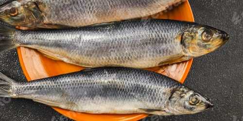 Preview: Herring fresh fish seafood pescetarianism tasty food dish fresh delicious gourmet food background