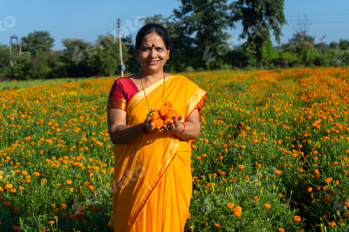 Preview: Indian woman in marigold field and enjoying nature.