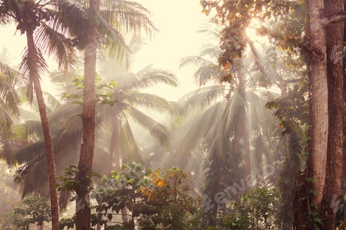 Preview: Jungle