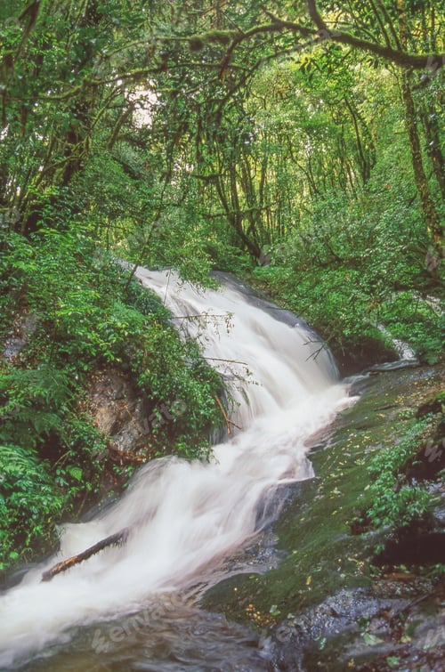 Preview: Waterfall in Doi Inthanon National Park