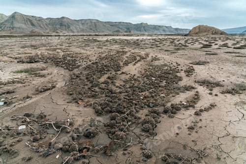 Preview: Amazing spherical stones in mountain desert