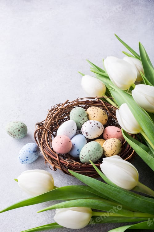 Preview: Beautiful white tulips