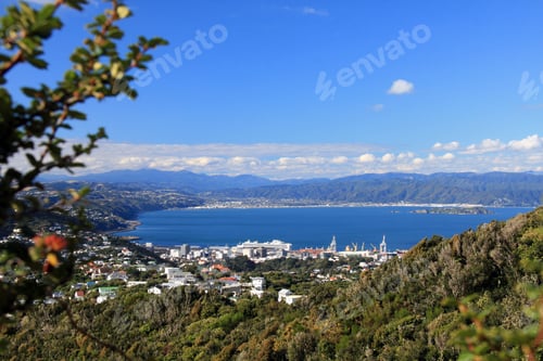 Preview: Wrights Hill, Wellington, New Zealand