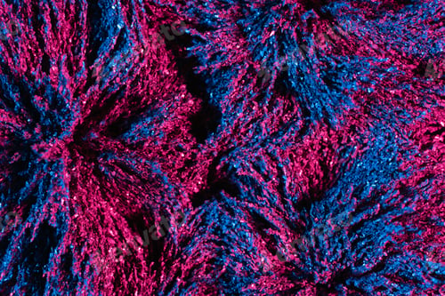 Preview: Ferrofluid illuminated with neon light