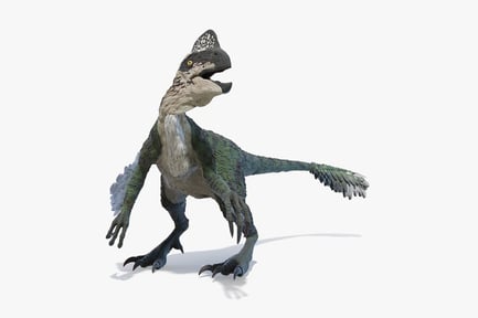 Preview: Animated Oviraptor Philoceratops Dinosaur