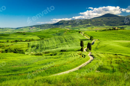 Preview: Beautiful view of the path between the fields in Tuscany