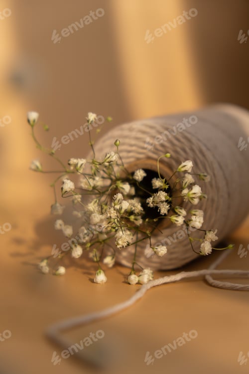 Preview: Delicate white flowers of gypsophila with spool of white cotton rope on neutral beige background.