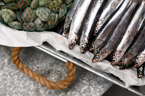 Preview: Fresh seafood on street market