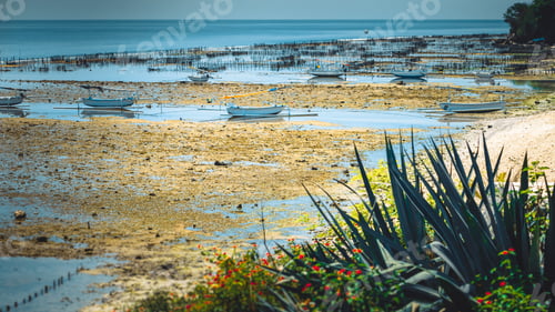 Preview: Fisher Boats at low tide near seaweed plantations algal - Nusa Penida, Bali, Indonesia