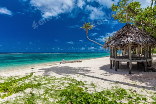 Preview: Tropical vibrant beach on Samoa Island with palm tree and fale