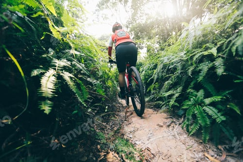 Preview: Cross country biking in summer forest