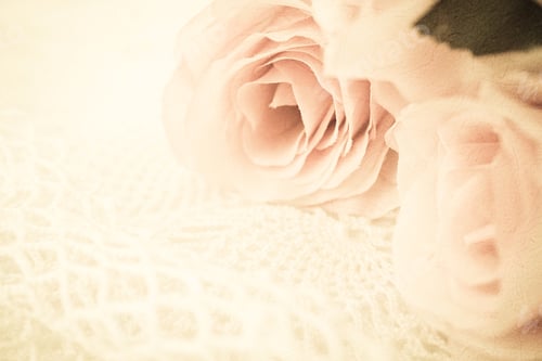 Preview: Roses Flowers In Vintage Color Style On Mulberry Paper Texture For Romantic Background