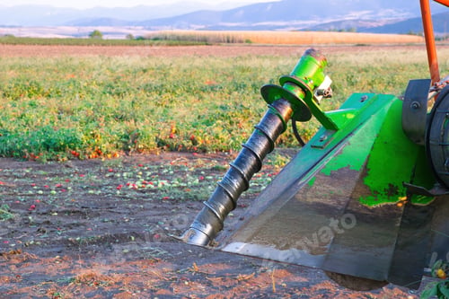 Preview: Shot of an industrial tomato picking machine working in the field on a sunny day.