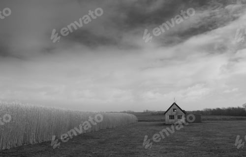 Preview: On the Farm