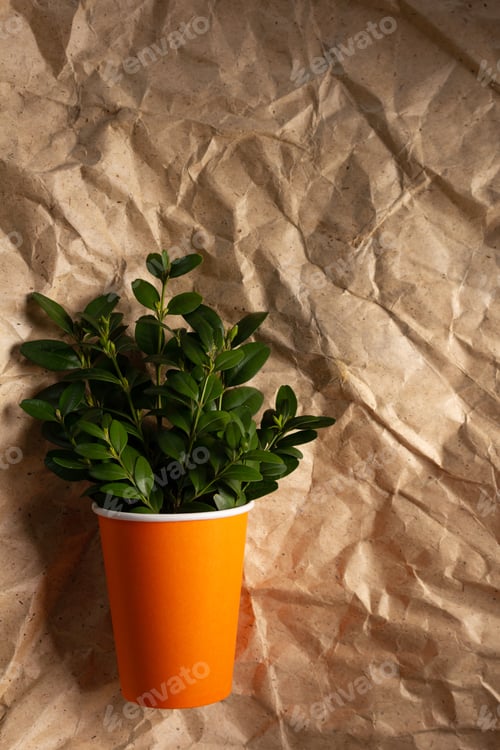 Preview: Paper cup and branch with leaf on parcel as background texture. Recycling concept or creative idea