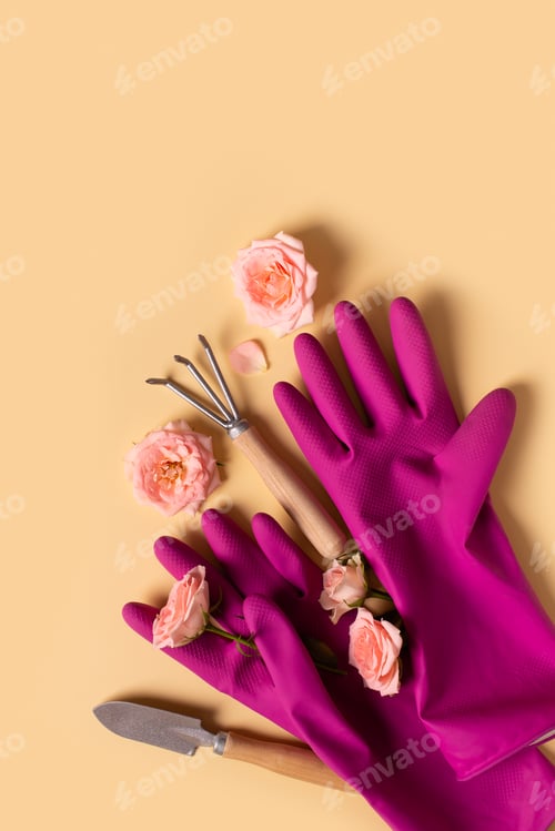 Preview: Planting tools set, pink gloves, rose flaowers, shovel and rake flat lay on yellow background