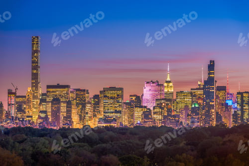 Preview: New York City Central Park Skyline