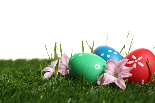 Preview: Colorful Easter eggs in green grass and flowers on white background, closeup