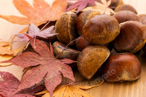 Preview: Chestnut and maple