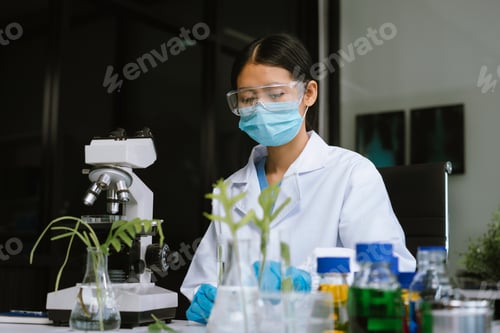 Preview: Eco laboratory microbiology. Sample in a Microscope and comparing a plant
