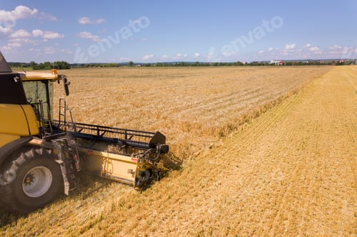 Preview: Aerial view of combine harvester harvesting large ripe wheat field. Agriculture from drone view