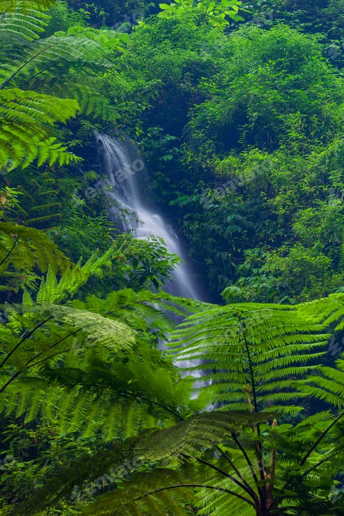 Preview: Madakaripura Waterfall, East Java, Indonesia
