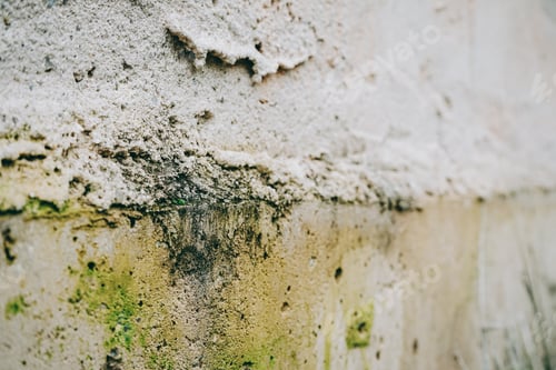 Preview: Grunge old wall texture