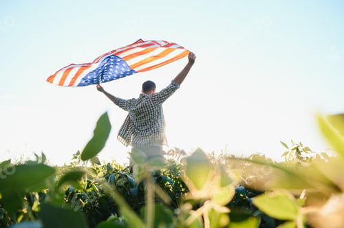 Preview: A young farmer stands with a USA flag in a soybean field.