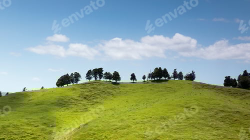 Preview: typical landscape in north New Zealand