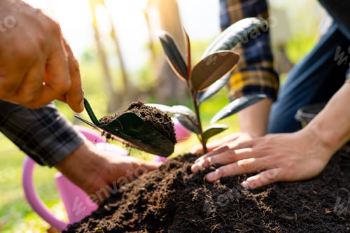 Preview: two young men are planting a tree to preserve the environment, plant tree concept to reduce global w